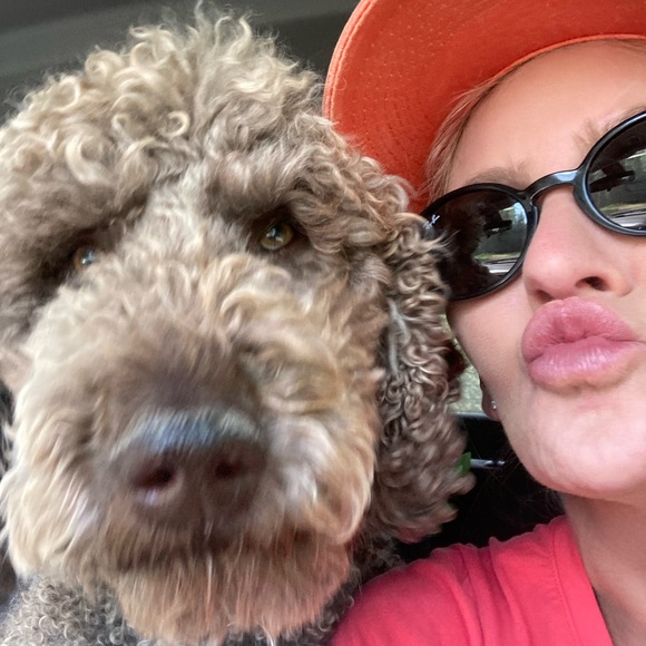 Meet your Posher, Bonnie - Picture 2 of 3